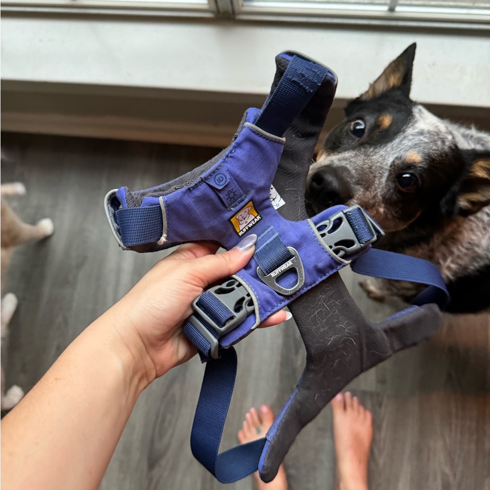 RuffWear Harness
